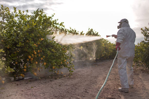 Reliable Lehighton, PA Pest Control Solutions