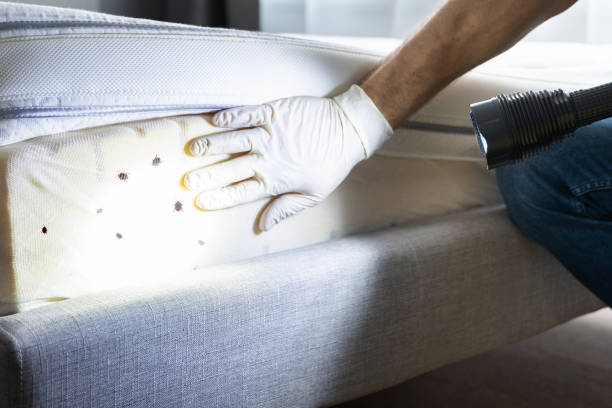 Best Commercial Pest Control Services  in Lehighton, PA