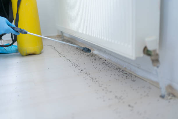 Best Pest Control for Businesses  in Lehighton, PA