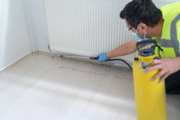 Best Local Pest Control Services  in Lehighton, PA